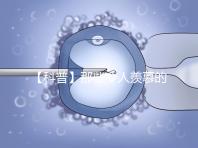 【科普】那些令人羨慕的優質胚胎有什么條件？