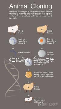 《白色月光》中張一崩潰在孩子面前哭，你認為該不該？