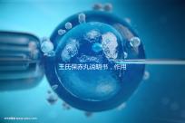 王氏保赤丸說明書，作用功效、用法用量全都有！