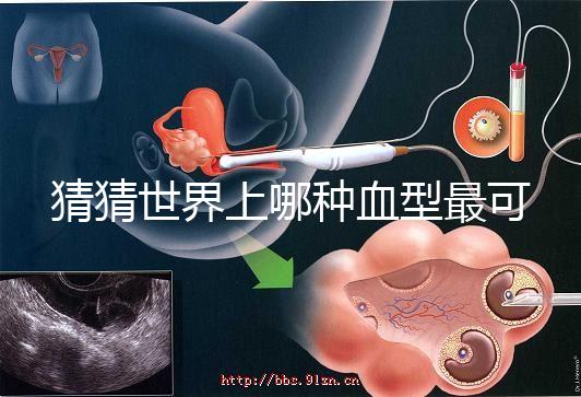 猜猜世界上哪種血型最可怕，史上超全排行榜為你揭曉答案