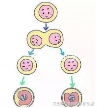 男人結婚時是否可以穿白色鞋子和白色西裝進行分析，看看對誰不利