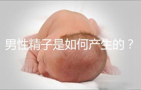 男性精子是如何產生的？