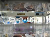 生二胎必須具備的五大條件，全部滿足就可無障礙產子