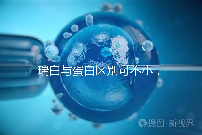 瑞白與蛋白區(qū)別可不小,保胎選擇哪個(gè)好一文說清