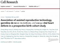 目前國外做試管嬰兒需要結婚證嗎？不同地區證照要求解讀