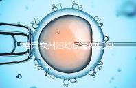 看完欽州婦幼試管如何別走，了解下助孕全過程費用明細(xì)再說