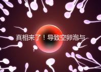 真相來了！導(dǎo)致空卵泡與多囊卵巢有關(guān)，區(qū)別在于以下四點(diǎn)，多研究