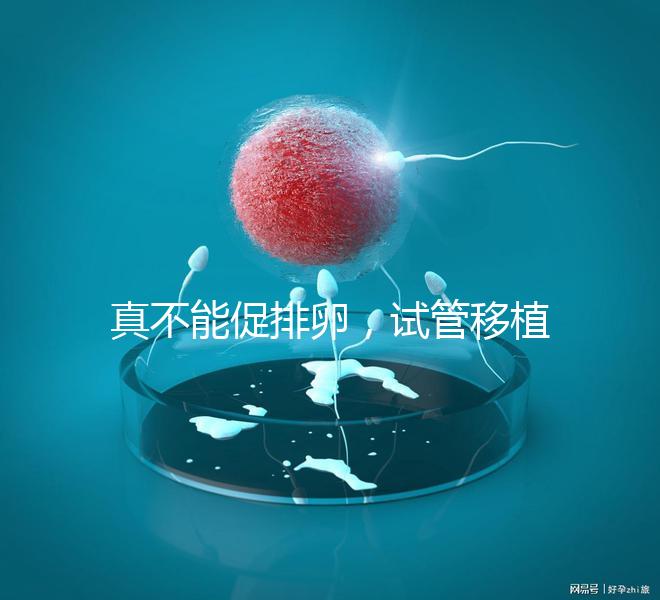 真不能促排卵，試管移植前吃優(yōu)思明作用與功效竟是這