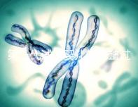 第三代試管嬰兒的完整過(guò)程