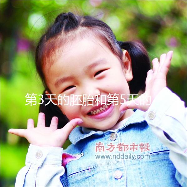 第3天的胚胎和第5天的囊胚，到底該怎么選成功率才高？