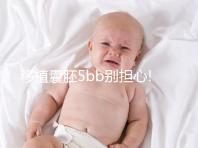 移植囊胚5bb別擔心!希望并非來自成功率,質量奠定基礎