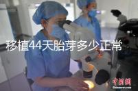 移植44天胎芽多少正常？胎芽長(zhǎng)度和孕周對(duì)照表一覽