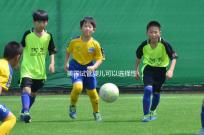 美國試管嬰兒可以選擇性別嗎？附上法律規定和安全性