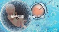 精子畸形、dna碎片率高，三代試管嬰兒或許是最后“救星”