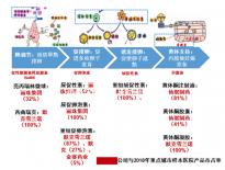 精子濃度高需及時治療，搭配飲食調理助你突破生育危機