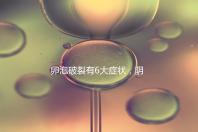 卵泡破裂有6大癥狀，陰道出血僅為前兆表現(xiàn)之一！