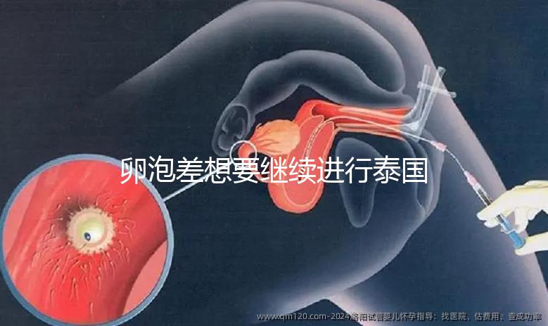 卵泡差想要繼續(xù)進(jìn)行泰國試管嬰兒,送你這份過來人小心得