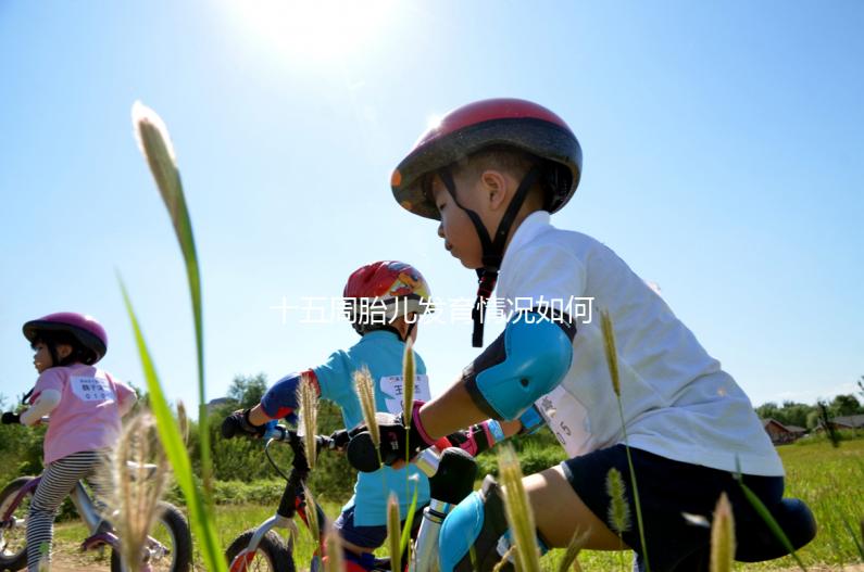 十五周胎兒發育情況如何？