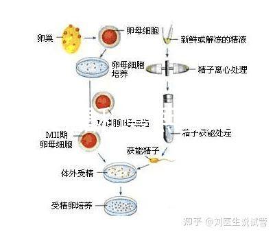十月結(jié)晶和曼熙嬰兒浴盆誰(shuí)好還不造,怎么換電池這篇文章說(shuō)清楚