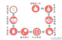 兒童牙膏十大國產產品公布，2024年哪些品牌看這個