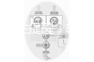 兒科醫(yī)生提醒:輪狀疫苗有不良反應,輕微表現持續(xù)時間短