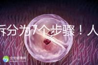 共拆分為7個步驟！人工授精自然周期流程全解