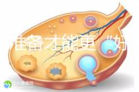 做好準(zhǔn)備才能更“好孕”！美國(guó)試管嬰兒進(jìn)周前后3大注意事項(xiàng)