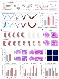 做試管嬰兒的費用大概是多少錢？