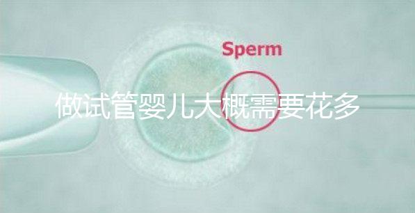 做試管嬰兒大概需要花多少錢(做試管嬰兒大概需要花多少錢呢)