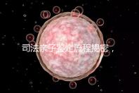 司法親子鑒定流程揭密，附準(zhǔn)備材料請(qǐng)一并參考