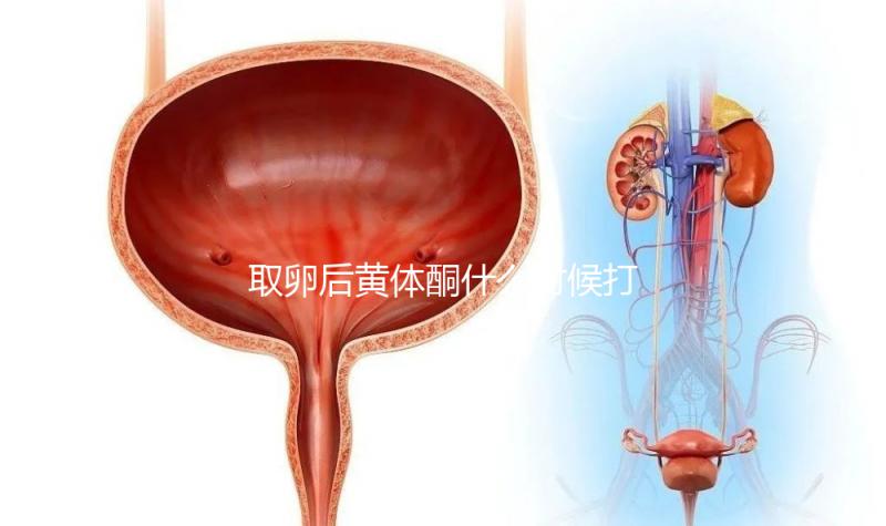 取卵后黃體酮什么時候打？3種人群最佳注射時間各不同