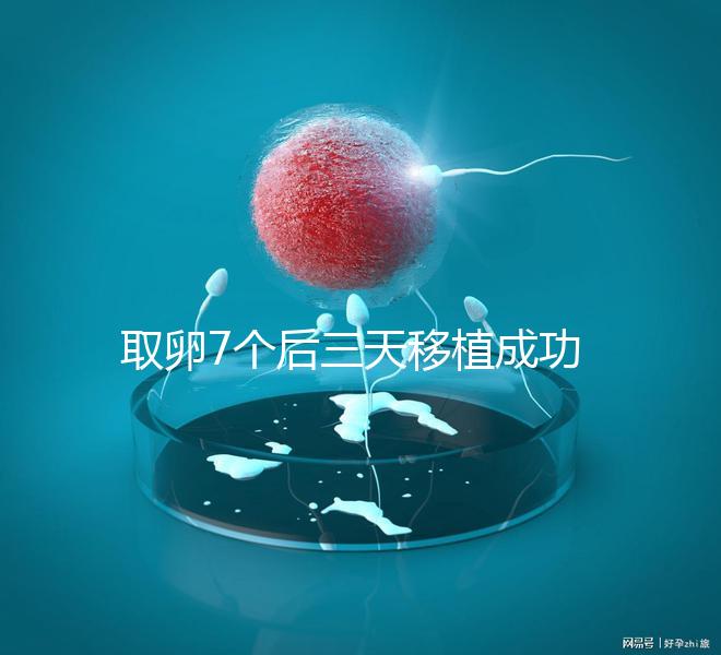 取卵7個后三天移植成功率真不低，關鍵要滿足這5大條件