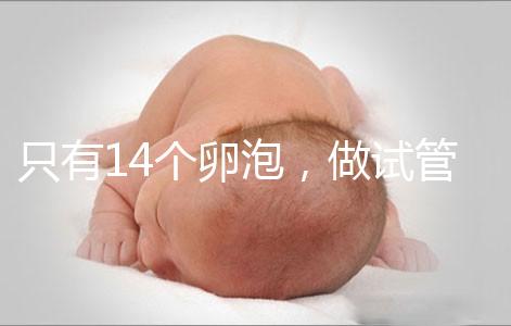 只有14個卵泡，做試管嬰兒到底要不要養(yǎng)囊？