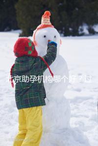 北京助孕機構哪個好？過來人其強力推薦北京這五家助孕公司