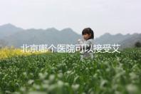 北京哪個(gè)醫(yī)院可以接受艾滋病病人做試管手術(shù)