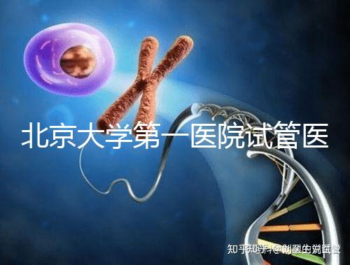 北京大學第一醫院試管醫生排名？附簡介和擅長醫療方向