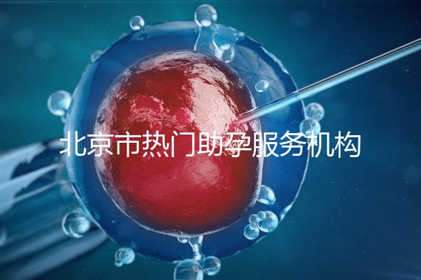 北京市熱門助孕服務(wù)機(jī)構(gòu)排名榜單！這三家性價(jià)比比較出眾！