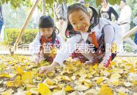 北京試管嬰兒醫(yī)院，附成功率、費(fèi)用