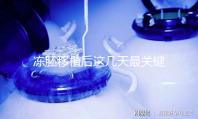 凍胚移植后這幾天最關(guān)鍵！一文揭秘重要原因