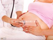 刺五加的功效作用（刺五加對(duì)性功能有效嗎）