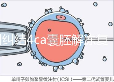 別糾結4ca囊胚解凍復蘇最早幾天能測出了，著床率先了解下