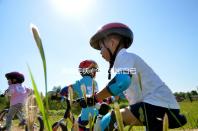 哮喘癥狀（怎么判斷自己是否哮喘）