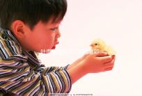 吐血整理北京7家四維彩超醫院，孕媽真實點評不走冤枉路