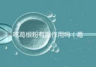 吃葛根粉有副作用嗎（葛根粉的副作用）