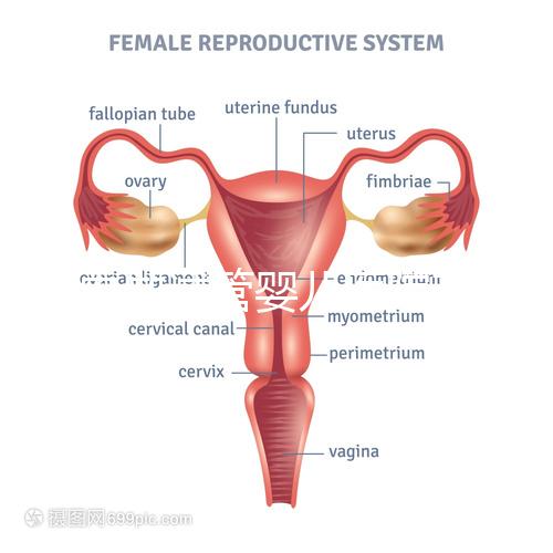 國內做試管嬰兒醫(yī)院有哪些?附全國十大試管醫(yī)院排名