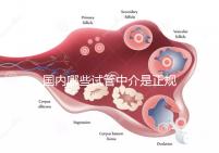 國(guó)內(nèi)哪些試管中介是正規(guī)的看過(guò)來(lái)，可不止北京百匯這一家