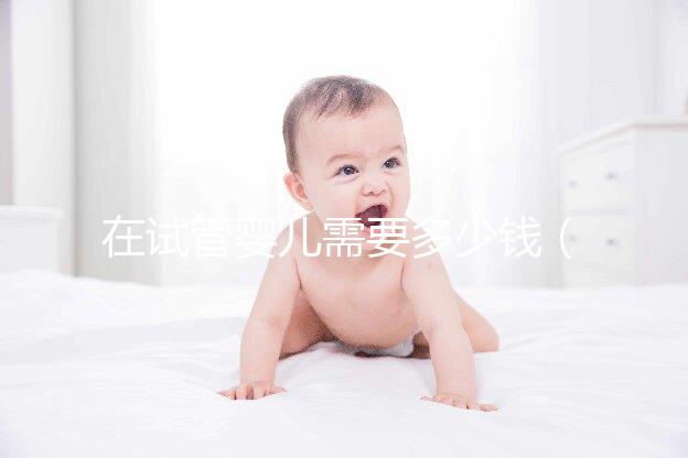 在試管嬰兒需要多少錢(在試管嬰兒需要多少錢費用)