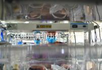 在貴州清鎮(zhèn)市做一次試管嬰兒要花多少錢？