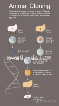 地中海貧血≠貧血！趕緊來看看地貧和貧血有什么區別