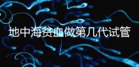 地中海貧血做第幾代試管嬰兒？要看看地貧的表現型